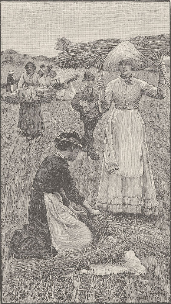 FARMING. English gleaners 1894 old antique vintage print picture
